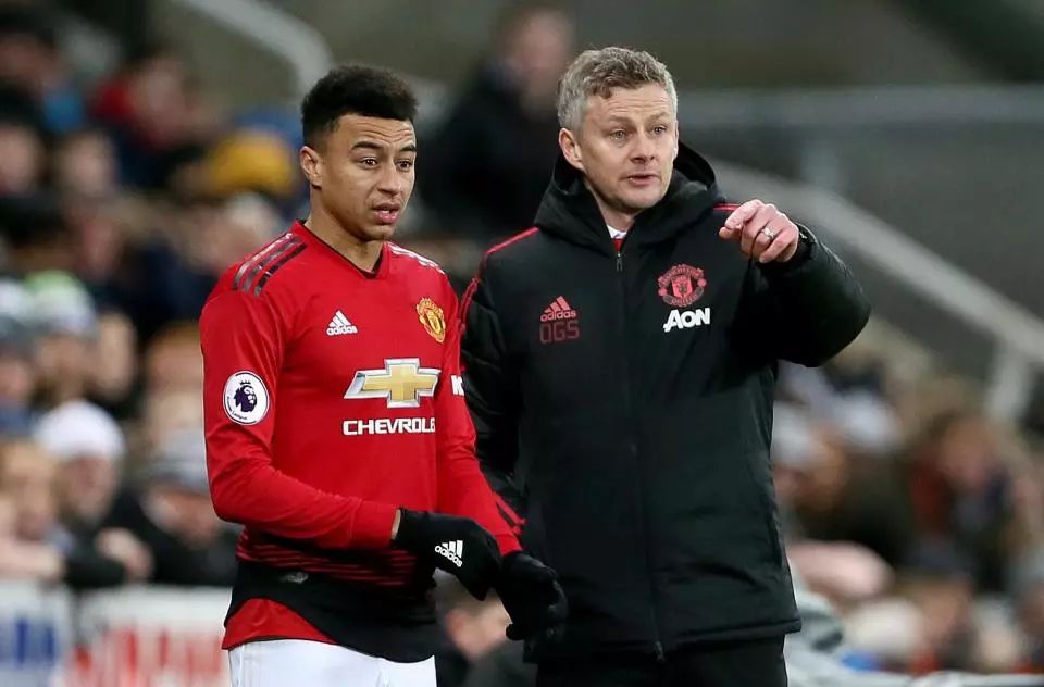 譬如他们的 譬如他们的